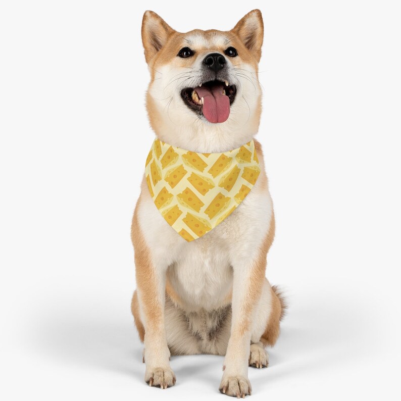May include: A Shiba Inu dog wearing a yellow bandana with a pattern of cheese slices. The dog is sitting with its tongue sticking out and looking up.