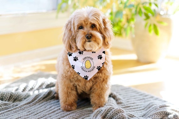 Couch Potato Dog Bandana Collar | Funny Pet Accessory