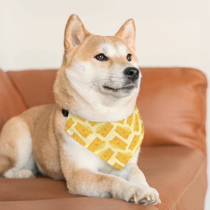 May include: A Shiba Inu dog wearing a yellow bandana with a pattern of cheese slices. The dog is sitting on a brown leather couch.