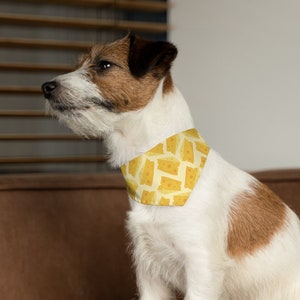 May include: A white and brown dog wearing a yellow bandana with a cheese print. The bandana is tied around the dog's neck.