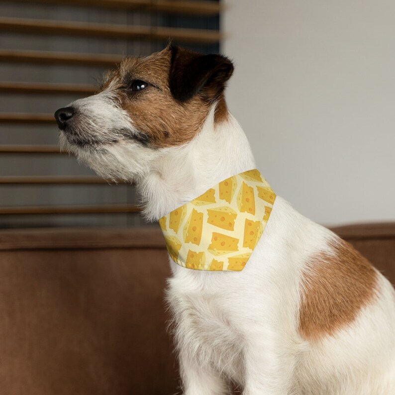 May include: A white and brown dog wearing a yellow bandana with a cheese print. The bandana is tied around the dog's neck.