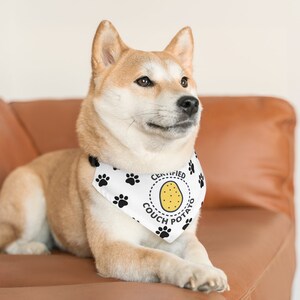 Puede incluir: Un perro Shiba Inu con un pa&ntilde;uelo blanco con huellas de patas negras y las palabras "CERTIFIED COUCH POTATO" alrededor de una ilustraci&oacute;n de patata amarilla. El perro est&aacute; tumbado en un sof&aacute; de cuero marr&oacute;n.