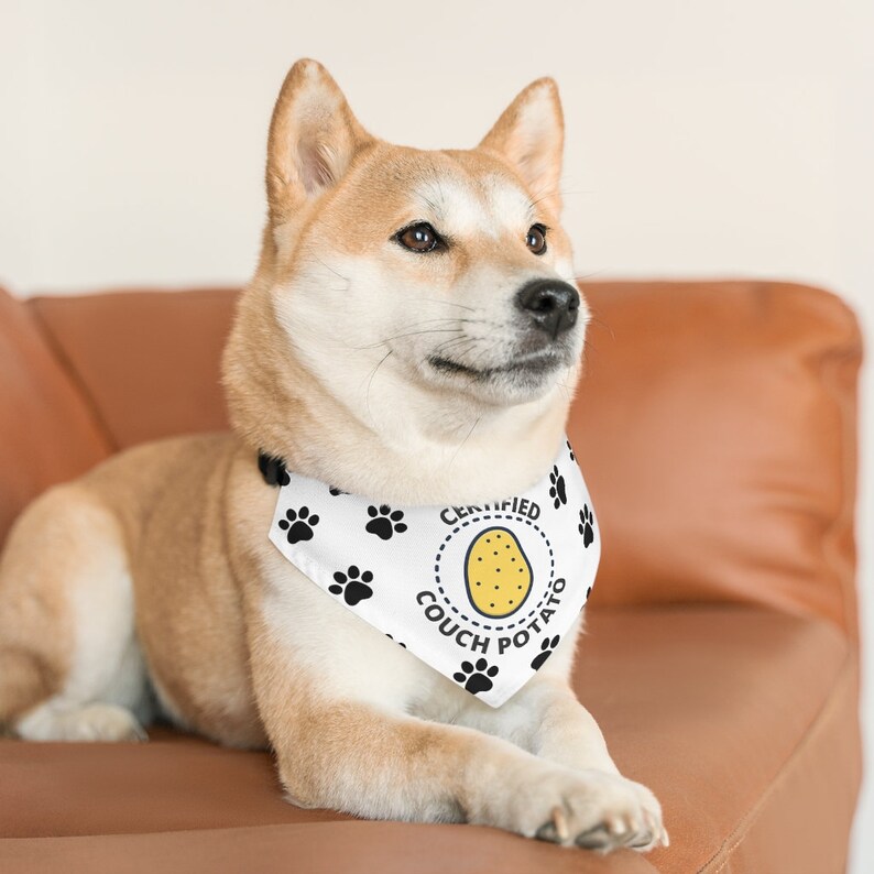 Puede incluir: Un perro Shiba Inu con un pa&ntilde;uelo blanco con huellas de patas negras y las palabras "CERTIFIED COUCH POTATO" alrededor de una ilustraci&oacute;n de patata amarilla. El perro est&aacute; tumbado en un sof&aacute; de cuero marr&oacute;n.