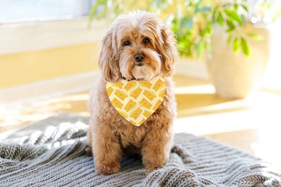 Cheese Print Dog Bandana Collar: Funny Pet Scarf