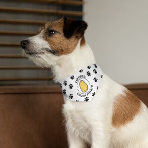 Puede incluir: Un Jack Russell Terrier con un pa&ntilde;uelo blanco para perros con huellas de patas negras y las palabras "CERTIFIED COUCH POTATO" alrededor de un gr&aacute;fico de patata amarilla. El perro est&aacute; sentado sobre una superficie marr&oacute;n.