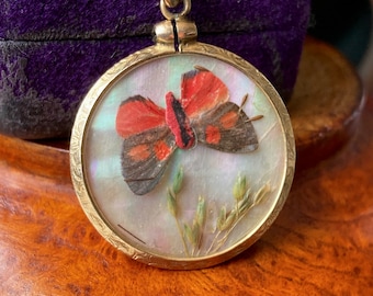 SALE. Antique Victorian Edwardian Gold Filled Butterfly Moth Wing Mother of Pearl Pendant Necklace - Two Sided - Engraved Frame