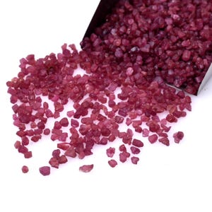 May include: A close-up shot of a pile of small, rough-cut ruby gemstones. The gemstones are a deep, rich red color and appear to be scattered on a white surface. A small metal scoop is partially visible, holding more of the gemstones.