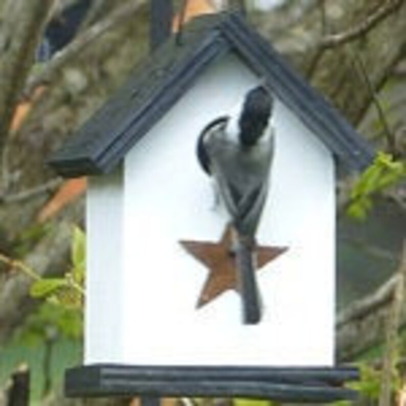 Wooden Rustic Chickadee Wren Songbird White Black Primitive Birdhouse Rusty Star Handmade Hanging Birdhouse