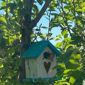 Country Rustic Wooden Songbird Birdhouse White Turquoise Chickadee Wren Cute Primitive Rusty Heart Handmade Hanging Birdhouse image 4