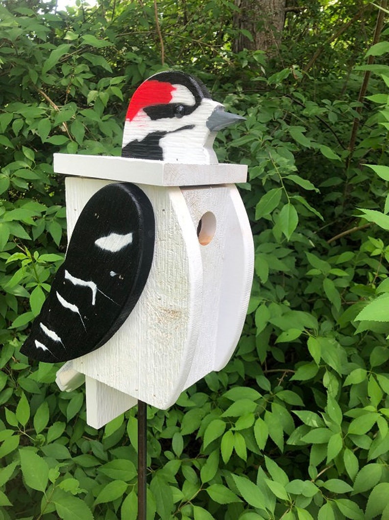 Downy Woodpecker Birdhouse Primitive Rustic Hand Painted Etsy