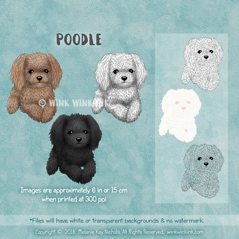 Digital stamp Poodle fuzzy little dog printable digi image image 1
