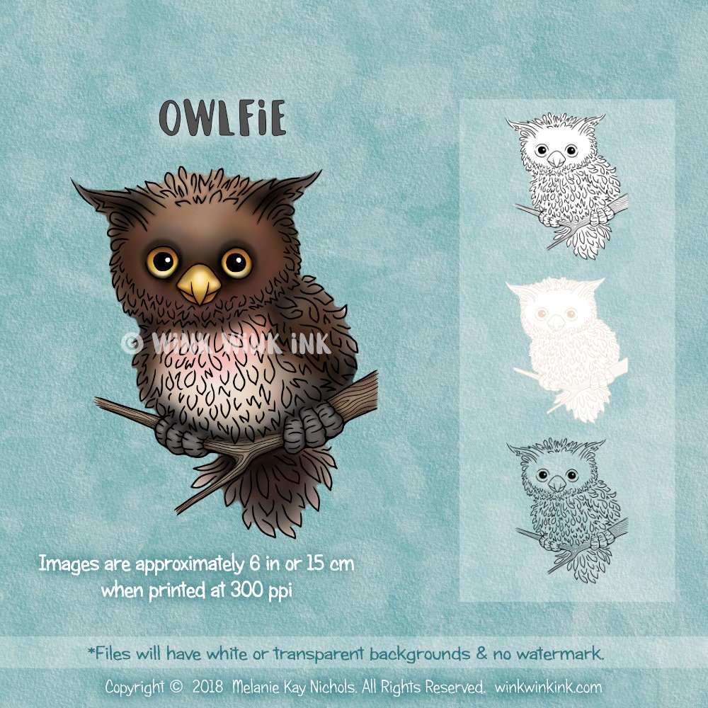 Digital stamp - Owlfie - cute little owl baby printable digi image