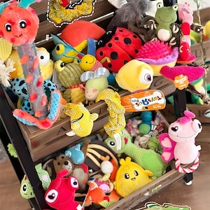 Mystery Box Dog Toys: Peluche con Sorpresa Squittente e Carta Crinkle e Corda, Giocattolo Interattivo da Masticare per Cuccioli e Cani di Piccola Taglia