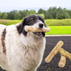 Handmade Coffee Wood Chew Stick for Dogs & Cats | Natural Dental Care, Eco-Friendly, Safe to Chew, Enrichment Toy for Healthy Teeth