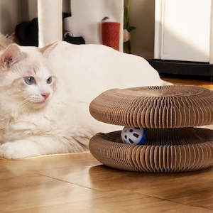 Rascador de acordeón para gatos con bola de cascabel - Almohadilla rascadora plegable de cartón corrugado - Diseño de panal duradero