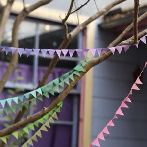 Teeny Tiny Dusty Rainbow Bunting 41 ft long image 3