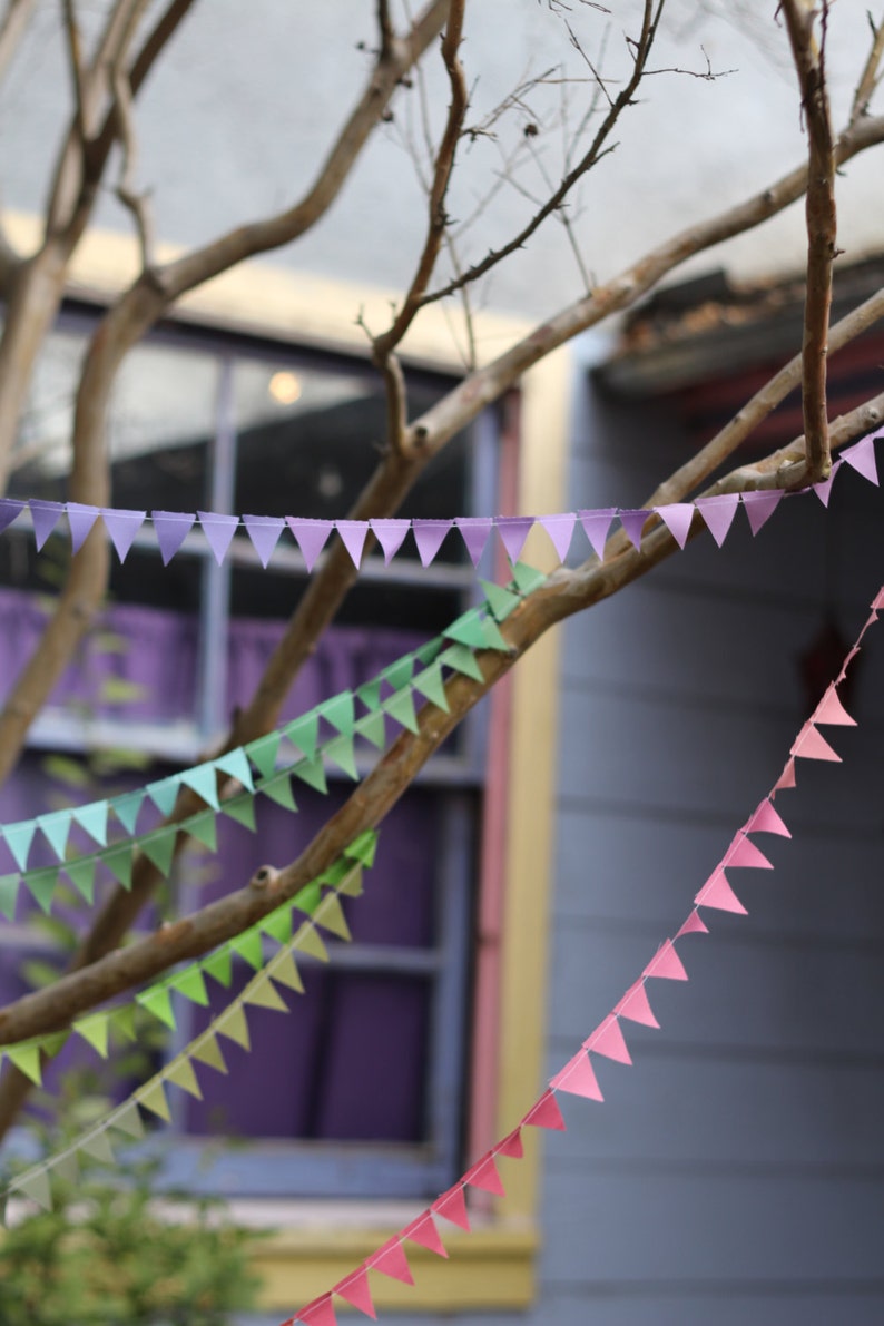 Teeny Tiny Dusty Rainbow Bunting 41 ft long image 3