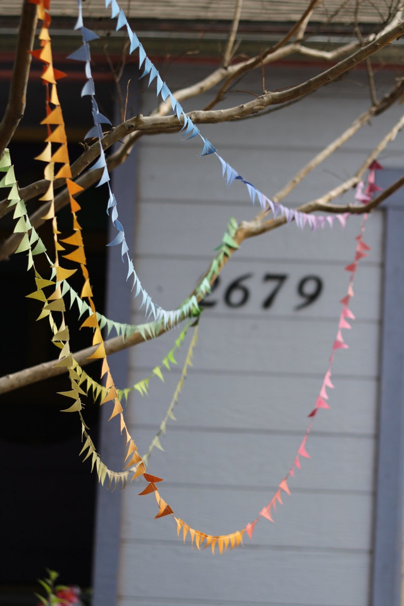 Teeny Tiny Dusty Rainbow Bunting 41 ft long image 5