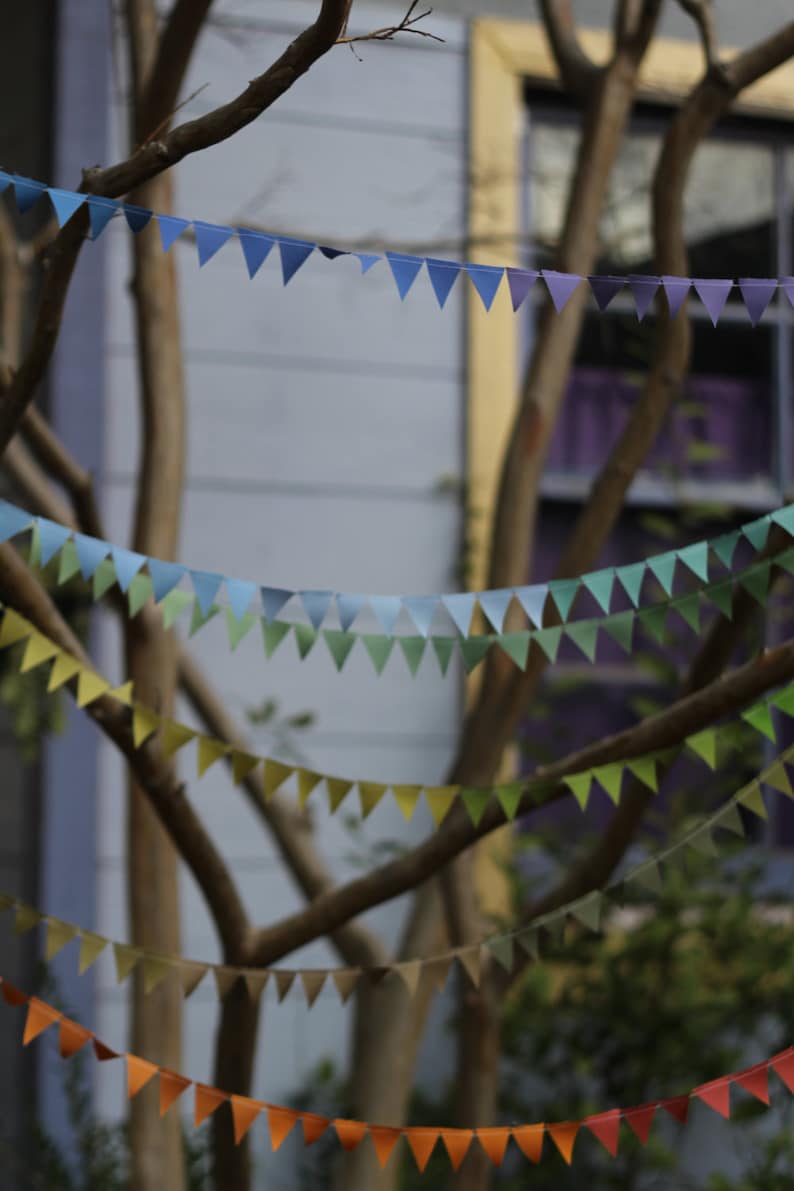 Teeny Tiny Dusty Rainbow Bunting 41 ft long image 2