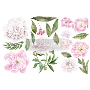 MORNING PEONIES -Redesign Decor Kleine Transfer - 3 Bögen, 6 "x 12", Prima Transfers, Decor Transfer, Rub on Transfers