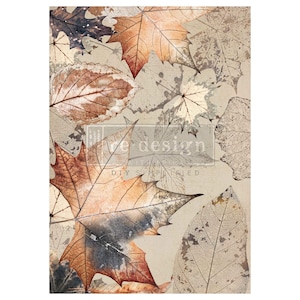May include: A beige background featuring a collage of autumn leaves in brown, orange, and grey hues. Some leaves are translucent, displaying detailed vein patterns. The text "re design" is visible within a rectangular box.