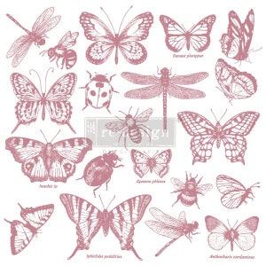 TAMPONS DE LA COLLECTION MONARCH - Tampons transparents pour décoration Redesign - 12" x 12" - 20 pièces - Tampons pour meubles pour peinture et encre