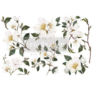 MAGNOLIA BLANC - Petit transfert - Redesign avec Prima