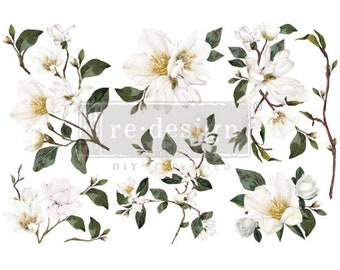 WHITE MAGNOLIA - Small Transfer - Redesign with Prima