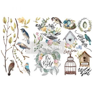 GARDEN MARVELS - Petit transfert - Redesign avec Prima