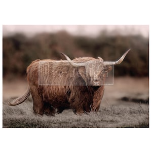 HIGHLAND GRACE – Fibra Decoupage A1 – 1 Hoja Tamaño A1