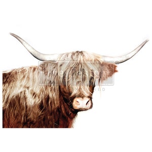MAJESTIC MOO – 1 A1 Decoupage Fiber – 1 Sheet, A1 Size