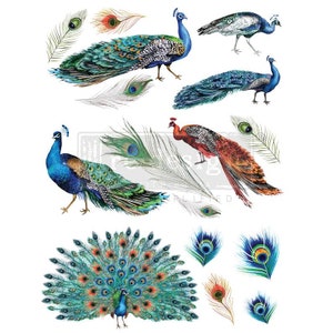 PEACOCK DREAMS - Transferts de meubles, ReDesign with Prima, Prima Transfer, Transfert de décoration, Transfert par friction