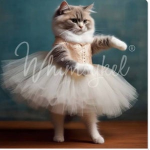 Carta velina per decoupage WHISKERINA - 29" x 21" - Carta velina decorativa - Whimsykel Designs