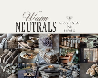 Warm Neutrals, Cozy Neutral Stock Photos, Minimal Lifestyle Imagery (PLR, Digital Download)