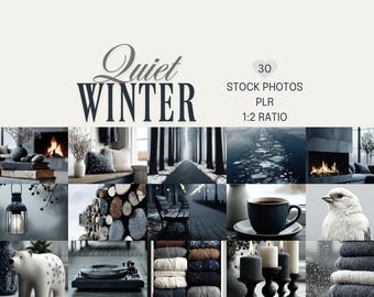 Quiet Winter Stock Photos, Serene Images, Peaceful Winter Scenes (PLR, Digital Downloads)