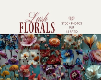Lush Florals Stock Photos: Orchid, Lily Flower Images, (PLR, Digital Download)