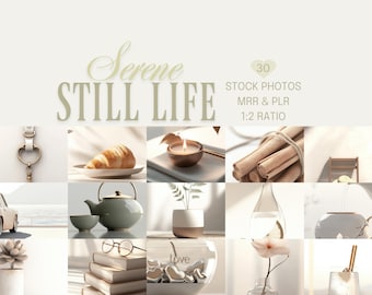 Neutral Minimalist Stock Photos, Serene Aesthetic Still Life Images (PLR, MRR, Digital Marketing)