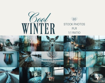 Moody Winter Blue Stock Photo Bundle, Cozy Rustic Vintage Photo Set (PLR, Digital Downloads)