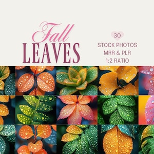 May include: A collage of 15 images of fall leaves in various colors, including yellow, orange, and green, with water droplets on the leaves. The text "Fall Leaves" is displayed in a pink script font, with additional text indicating "30 Stock Photos" and "MRR & PLR 1:2 Ratio."