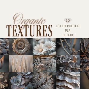 Könnte beinhalten: Eine Collage von 12 quadratischen Bildern mit verschiedenen organischen Texturen. Die Bilder zeigen Nahaufnahmen von Kieselsteinen, einem spiralförmigen Fossil, Gänseblümchen, einer Tulpe, Weizen, Wasserwellen, Blättern und anderen natürlichen Elementen. Der Text "Organic TEXTURES" ist oben zu sehen.