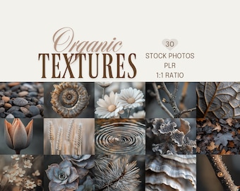 Organic Textures, Minimal Nature Stock Photos, Earthy Neutral Backgrounds (PLR, Digital Download)
