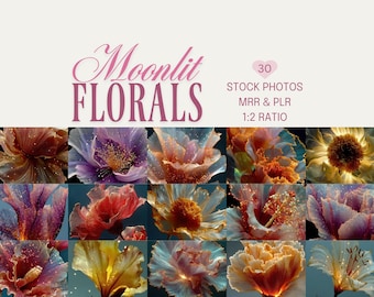 Moonlit Flowers Stock Images: Illuminated Chiffon Flowers, MRR, PLR (Digital Download)
