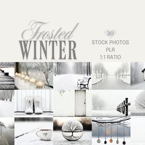 May include: A collection of monochrome winter stock photos. The images feature a snowy bridge, candles, a park bench, a snowy road, boots, a door, a birdhouse, a tree, a cup, and a crystal ball. The words "Frosted Winter" are displayed at the top.