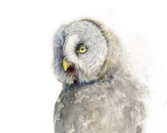 Great Grey Owl Watercolor Painting art print