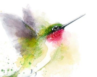 Ruby-throated Hummingbird | garden birds wall art | watercolour nature print