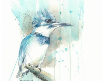 Belted kingfisher watercolor painting Bird Print