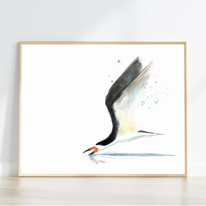 Black Skimmer Flying Watercolour wall art print