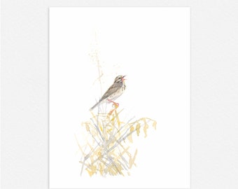 Savannah Sparrow Singing watercolour painting | bird PRINT