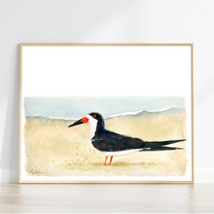 Black Skimmer Watercolour wall art print