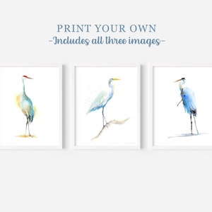 PRINTABLE trio of watercolour birds: Great Blue Heron, Sandhill Crane, Great Egret